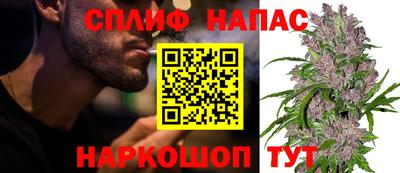 гидра Заволжье