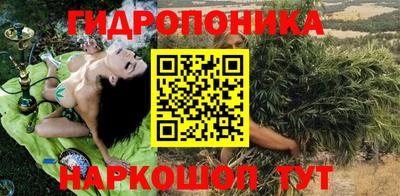 гидра Заволжье